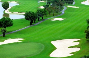 Cỏ nhân tạo sân golf nên chọn như thế nào chuẩn?