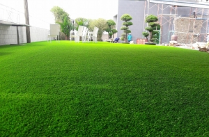 Cỏ nhân tạo và cỏ tự nhiên khác nhau như thế nào? Cỏ nhân tạo và cỏ tự nhiên khác nhau như thế nào?