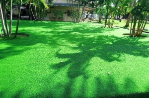 Để kéo dài thời gian sử dụng của cỏ nhân tạo cần phải làm gì? Để kéo dài thời gian sử dụng của cỏ nhân tạo cần phải làm gì?