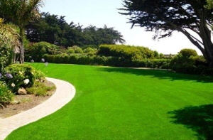 Những lợi ích mà cỏ nhân tạo mang lại là gì? Những lợi ích mà cỏ nhân tạo mang lại là gì?