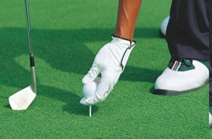 Ứng dụng với cỏ nhân tạo trong đời sống tự nhiên Ứng dụng với cỏ nhân tạo trong đời sống tự nhiên