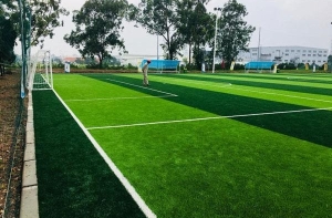 Cỏ nhân tạo bóng đá NGF18 – Sợi kim cương Cỏ nhân tạo bóng đá NGF18 – Sợi kim cương