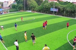 Để đầu tư sân bóng cỏ nhân tạo mang lại hiệu quả cần lưu ý những gì? Để đầu tư sân bóng cỏ nhân tạo mang lại hiệu quả cần lưu ý những gì?