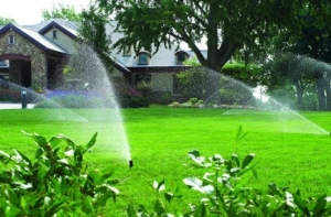 Một số bí quyết chăm sóc cỏ nhân tạo bạn nên biết Một số bí quyết chăm sóc cỏ nhân tạo bạn nên biết