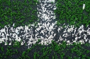 Hạt cao su sân bóng đá cỏ nhân tạo mini Hạt cao su sân bóng đá cỏ nhân tạo mini