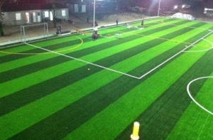 Tại sao nên đầu tư cho sân bóng cỏ nhân tạo hơn là cỏ tự nhiên? Tại sao nên đầu tư cho sân bóng cỏ nhân tạo hơn là cỏ tự nhiên?