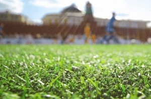 Chỉ số DTex – Chỉ số quan trọng của thảm cỏ nhân tạo Chỉ số DTex – Chỉ số quan trọng của thảm cỏ nhân tạo