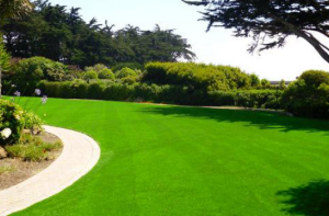 Những lý do mà bạn nên sử dụng cỏ nhân tạo sân vườn Những lý do mà bạn nên sử dụng cỏ nhân tạo sân vườn