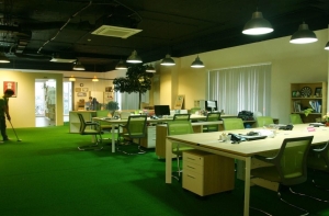 Một số lợi ích nổi trội của cỏ nhân tạo trang trí văn phòng Một số lợi ích nổi trội của cỏ nhân tạo trang trí văn phòng