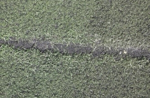 Một số rủi ro thường gặp khi mua cỏ nhân tạo giá quá rẻ Một số rủi ro thường gặp khi mua cỏ nhân tạo giá quá rẻ