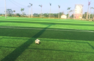 Một số sân bóng đá cỏ nhân tạo mini nổi tiếng tại Việt Nam hiện nay Một số sân bóng đá cỏ nhân tạo mini nổi tiếng tại Việt Nam hiện nay