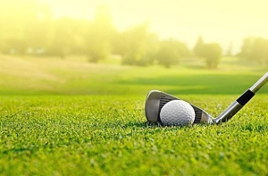 Hướng dẫn cách phân biệt các loại cỏ nhân tạo hiện nay Hướng dẫn cách phân biệt các loại cỏ nhân tạo hiện nay