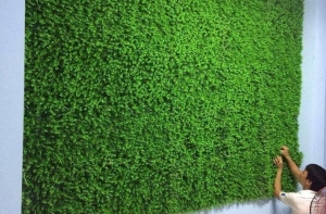 Hướng dẫn cách trang trí tường cỏ nhân tạo đơn giản nhất hiện nay