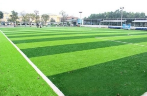 Tại sao nên lựa chọn mua cỏ nhân tạo cao cấp hiện nay? Tại sao nên lựa chọn mua cỏ nhân tạo cao cấp hiện nay?