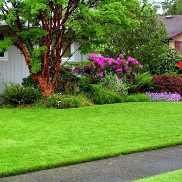 Lưu ý cỏ nhân tạo phù hợp với sân vườn